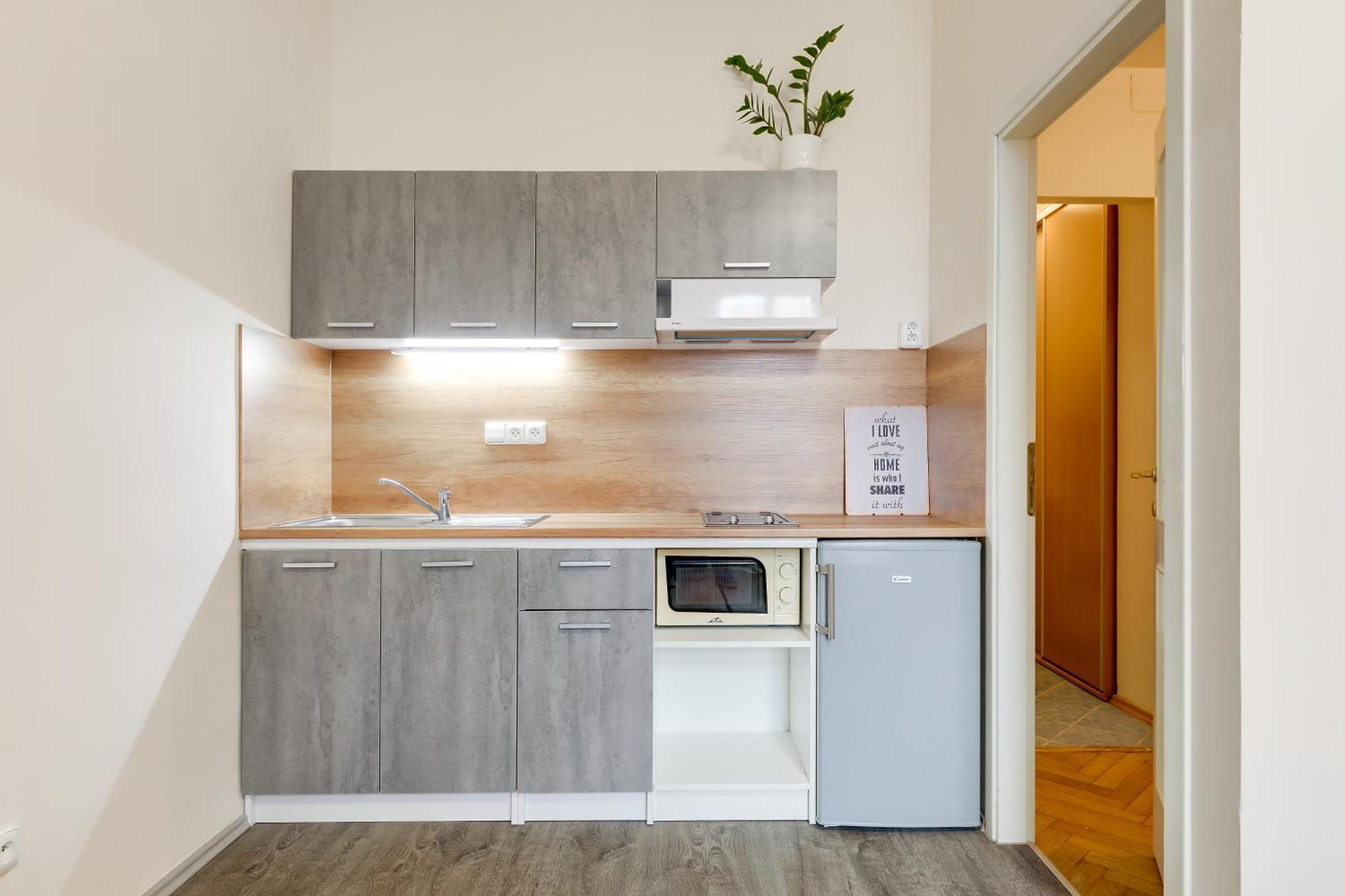 Apartmán Nejedleho Praha